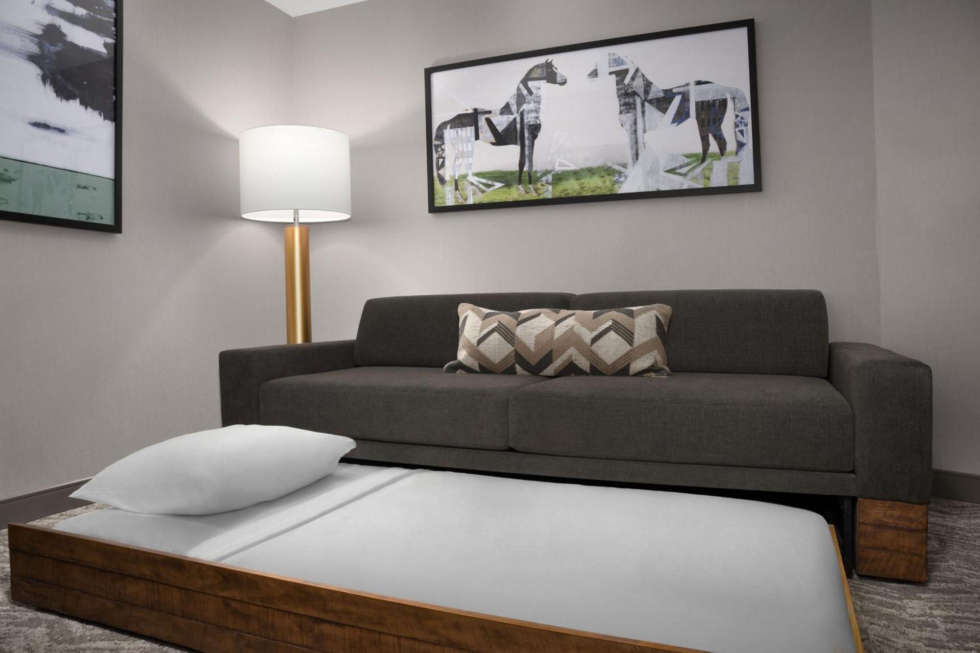 Springhill Suites By Marriott Lexington Fritz Farm Buitenkant foto